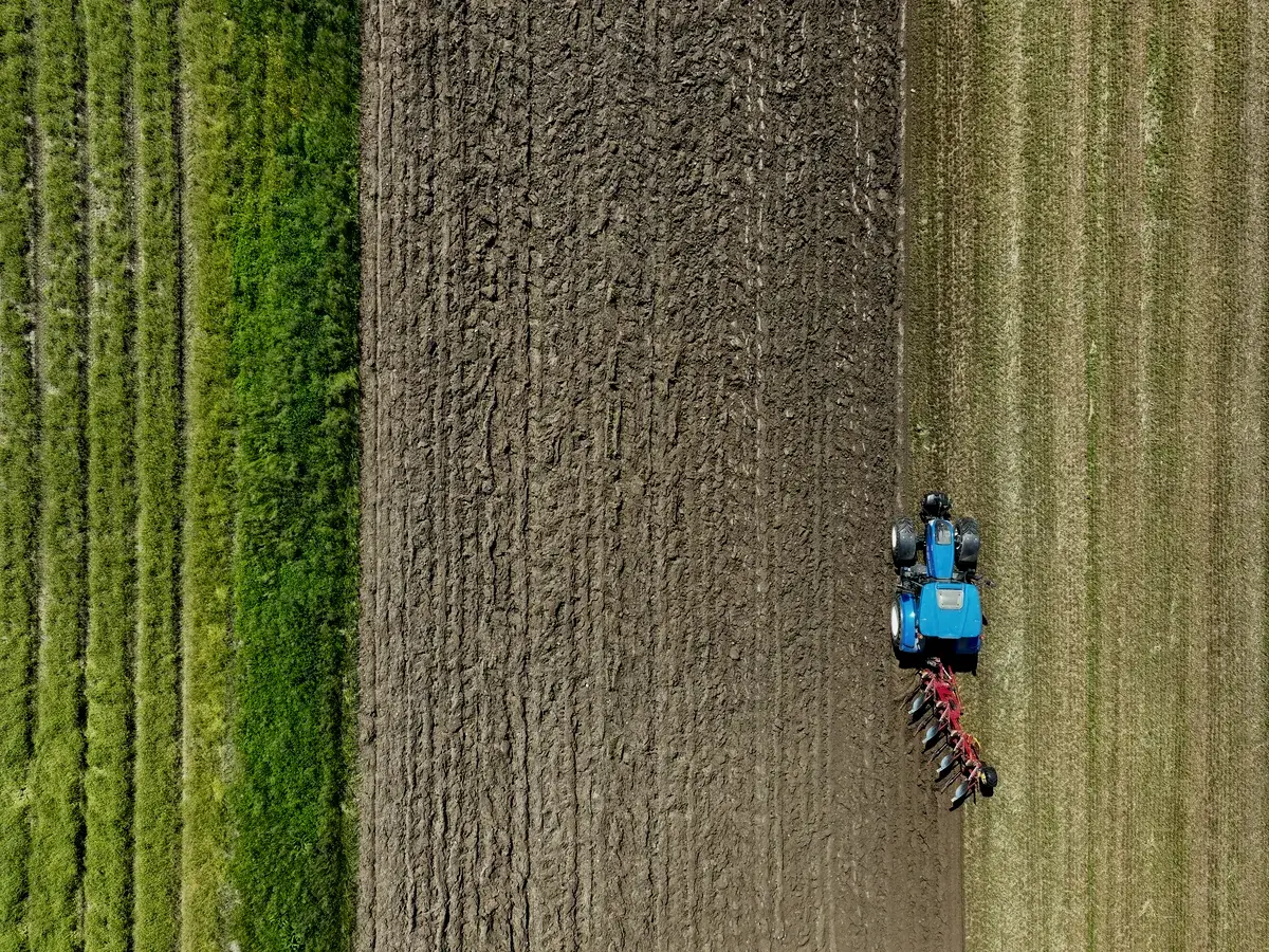 Agriculture