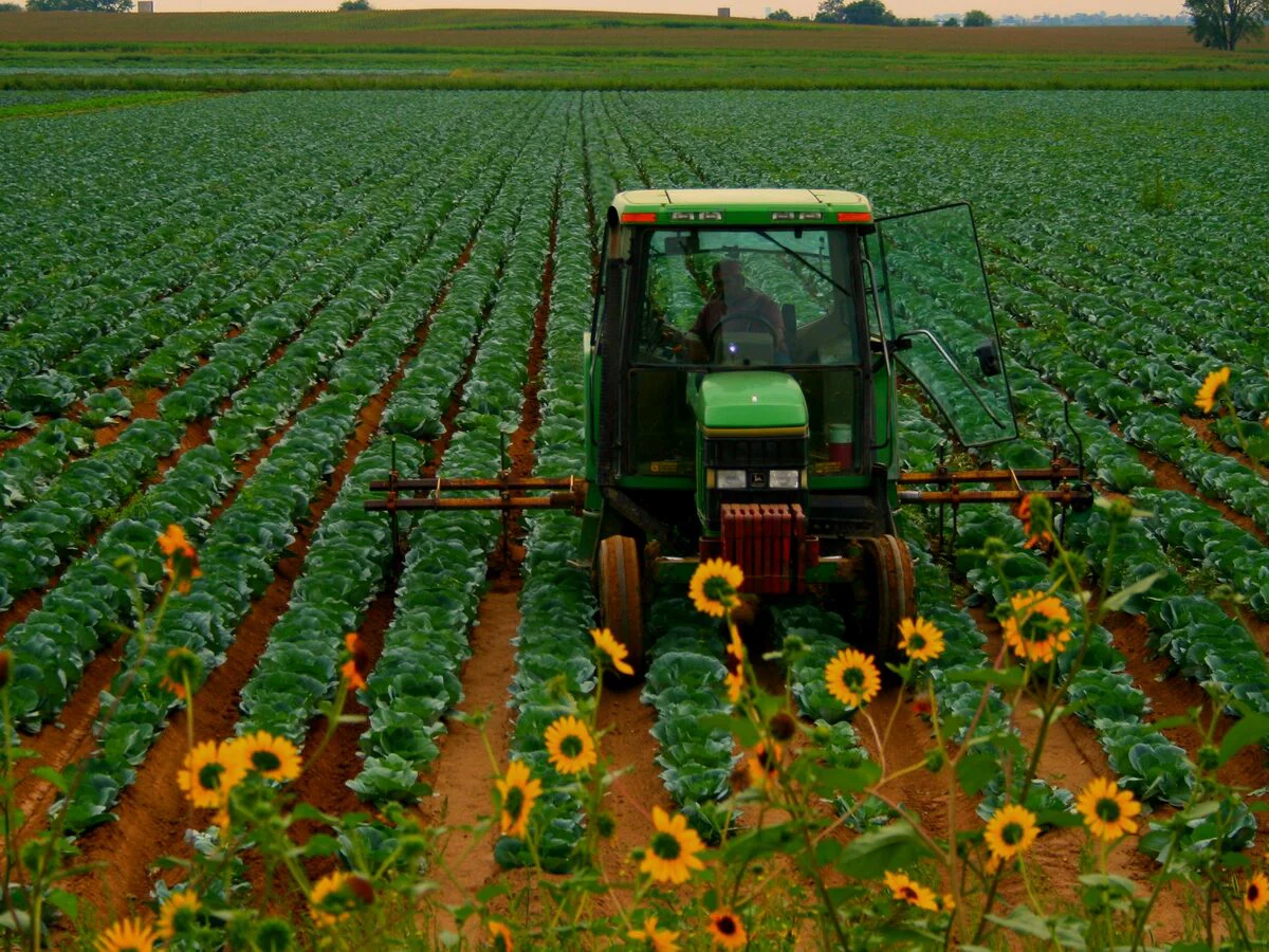 John Deere John Deere 6155M Utility Tractor